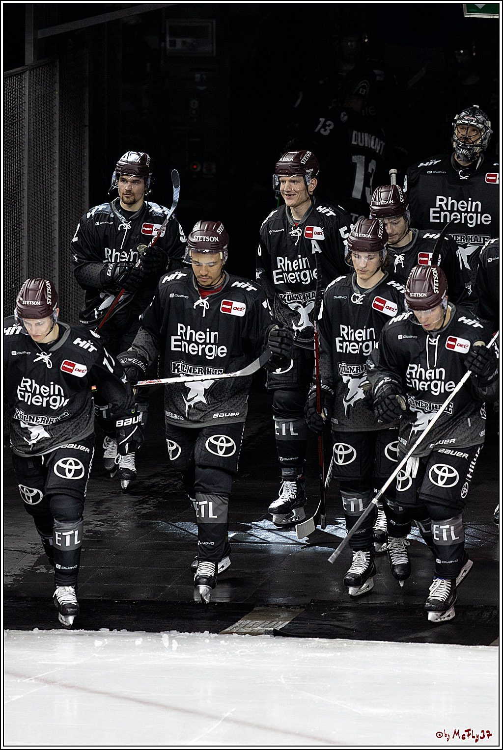 PENNY DEL;  Koelner Haie - Adler Mannheim; Koeln, 08.04.2021